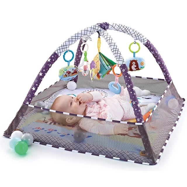 Baby Activity Gym and Foldable Play Mat